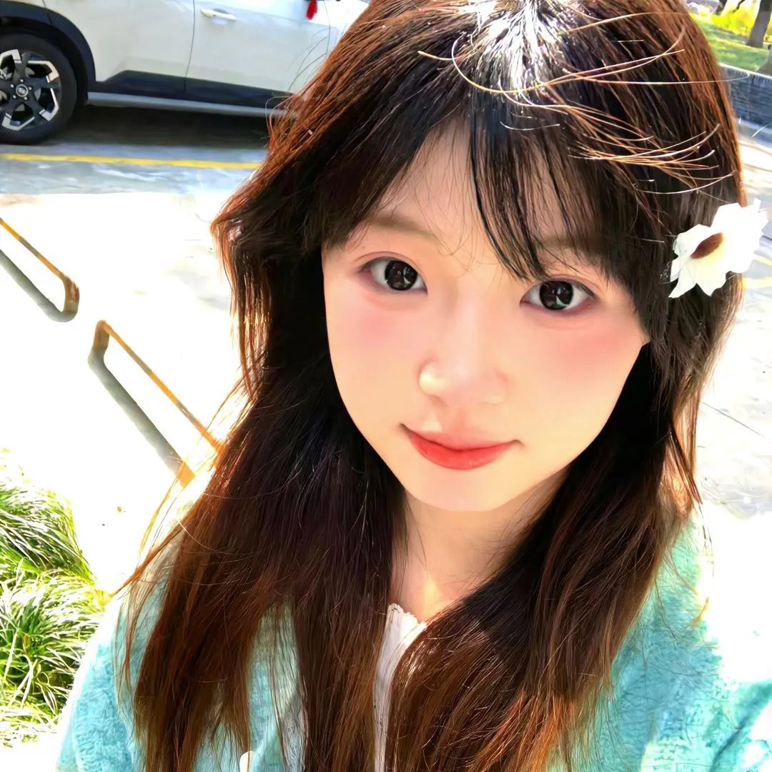 101朵玫瑰